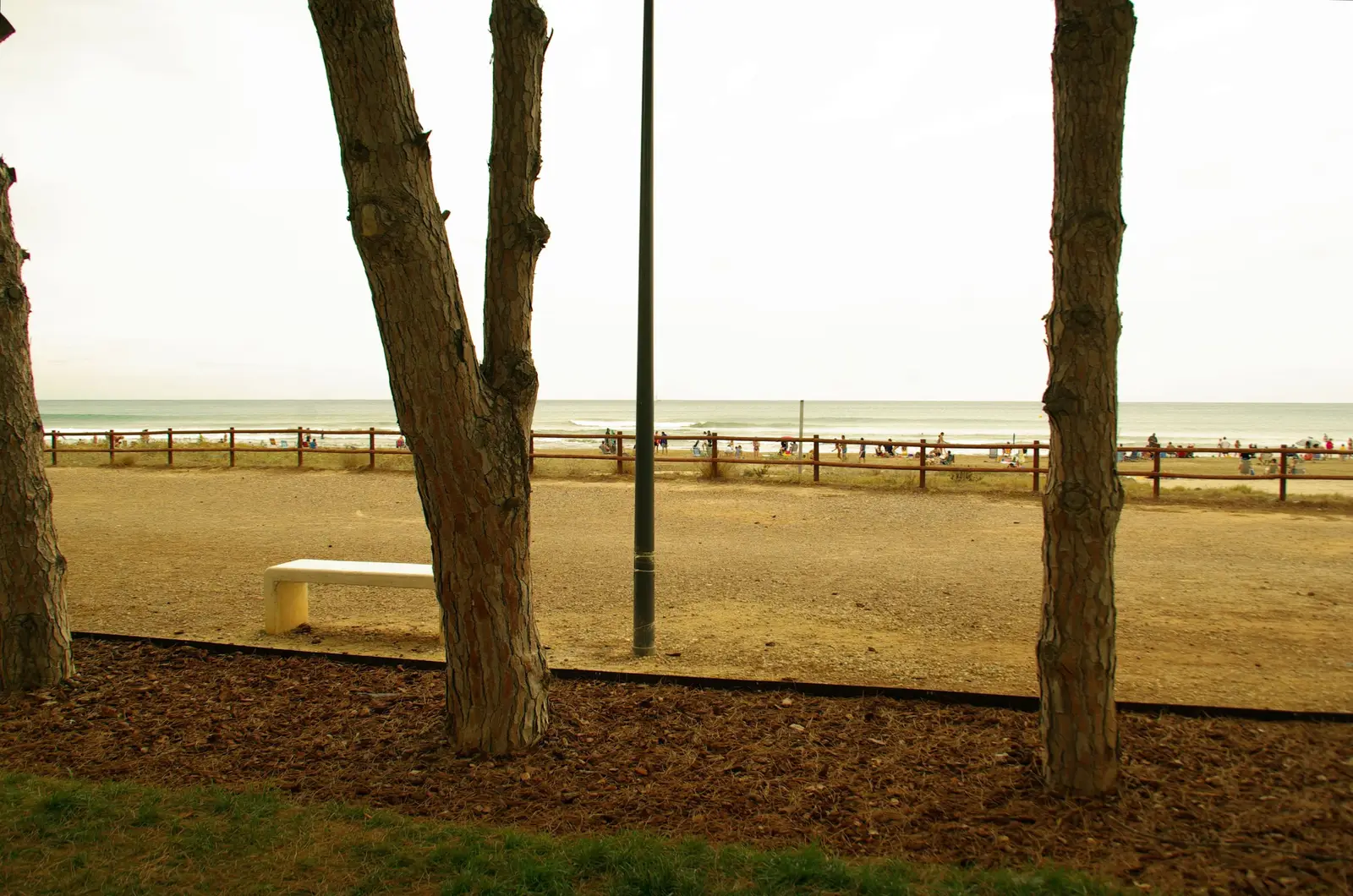 Pinienwald und Promenade am Strand Cargador in Alcossebre außerhalb der Saison